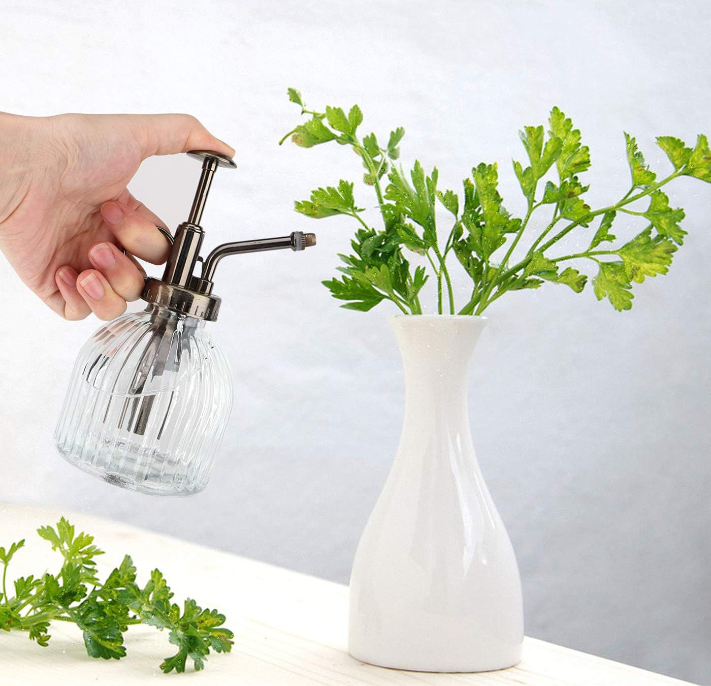 Glass Plant Mister for Indoor Plants (200ml)