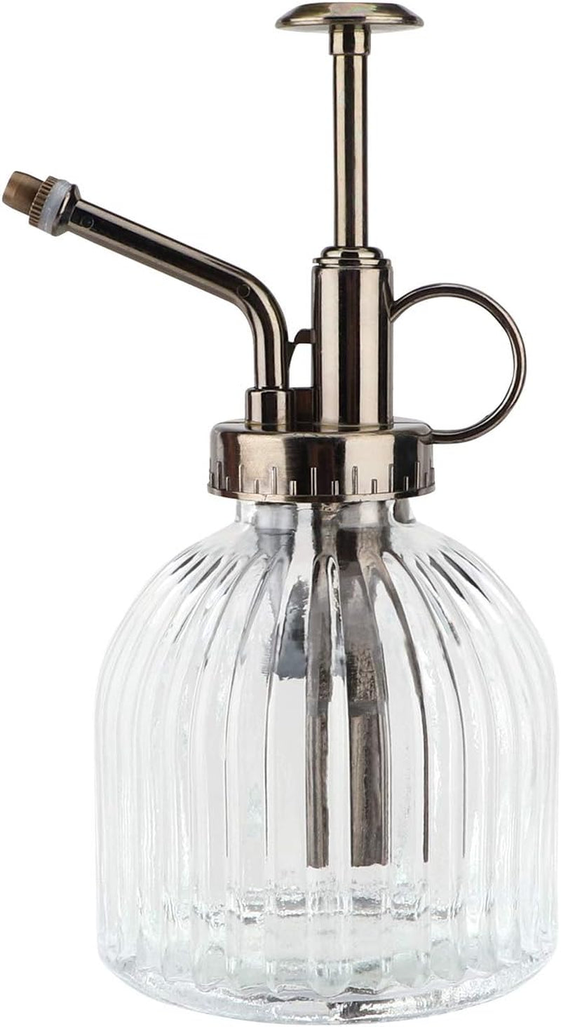 Glass Plant Mister for Indoor Plants (200ml)