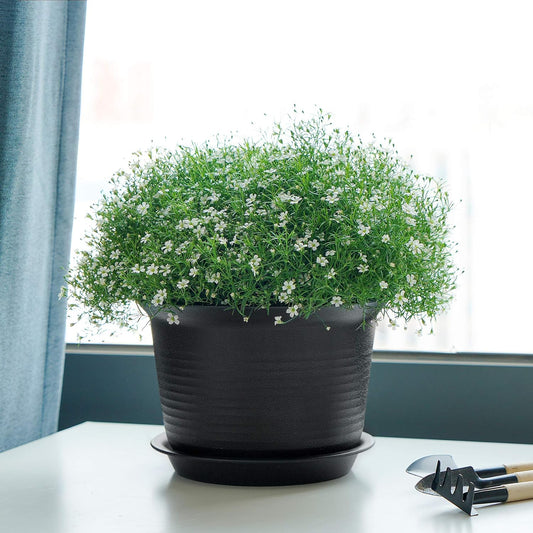 The Garden Essentials — 7" Indoor Planters with Drainage Trays, Premium Plastic Pots for House Plants (Set of 5, Black)